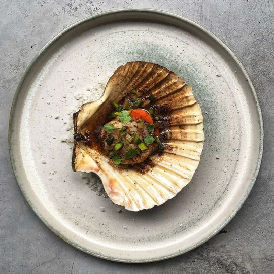 Diver Scallop at St Leonards. Bacchus PR